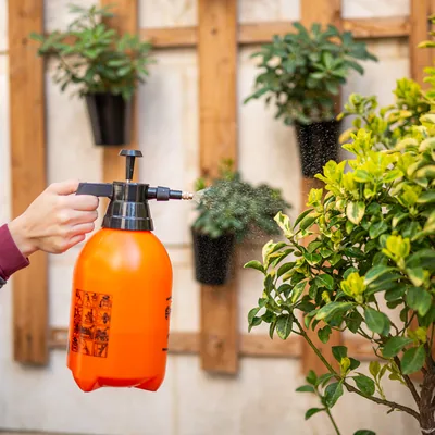 تصویر  سوم کالا